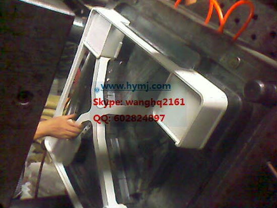 Other Mould 20